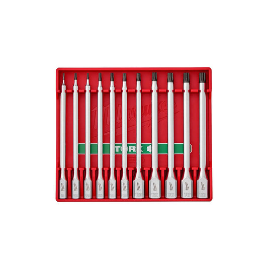 Set of Torx screws in a red case on a white background
